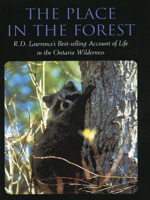 cover image of The Place in the Forest